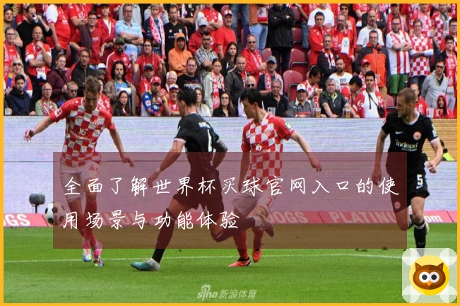 全面了解世界杯买球官网入口的使用场景与功能体验