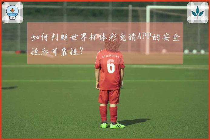 如何判断世界杯体彩竞猜APP的安全性和可靠性？