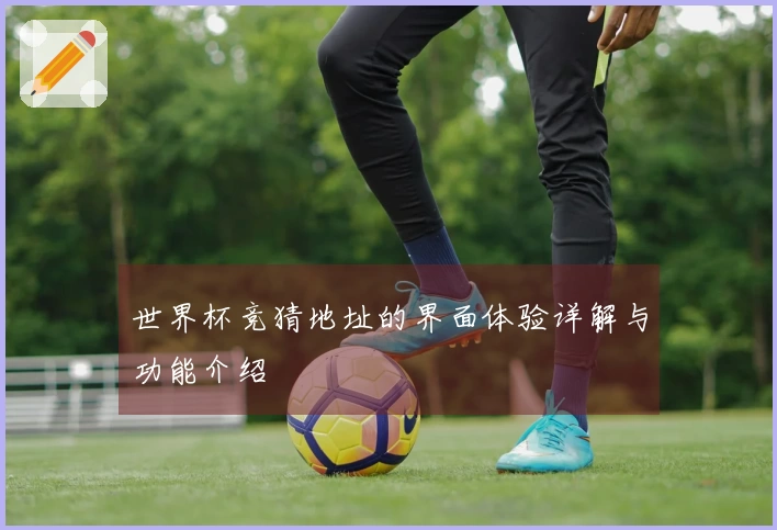 世界杯竞猜地址的界面体验详解与功能介绍