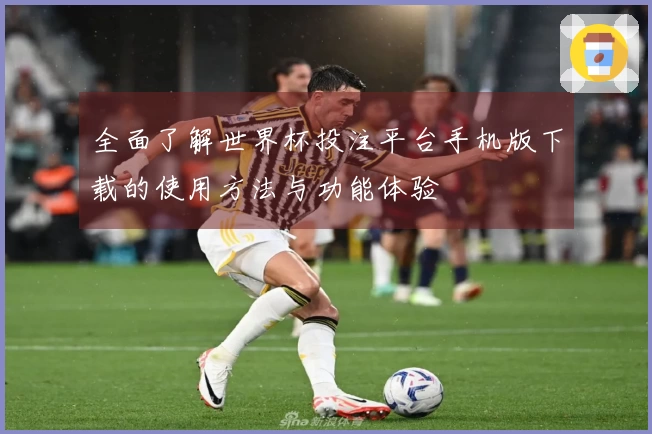 全面了解世界杯投注平台手机版下载的使用方法与功能体验