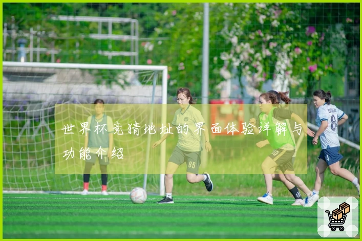 世界杯竞猜地址的界面体验详解与功能介绍