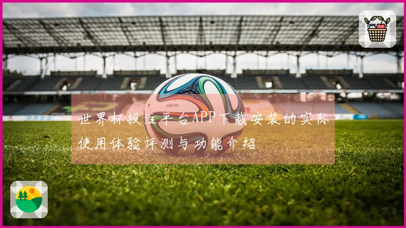 世界杯投注平台APP下载安装的实际使用体验评测与功能介绍