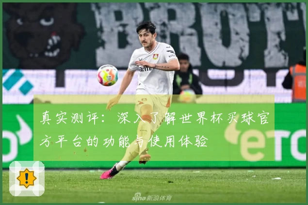 真实测评：深入了解世界杯买球官方平台的功能与使用体验