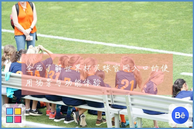 全面了解世界杯买球官网入口的使用场景与功能体验