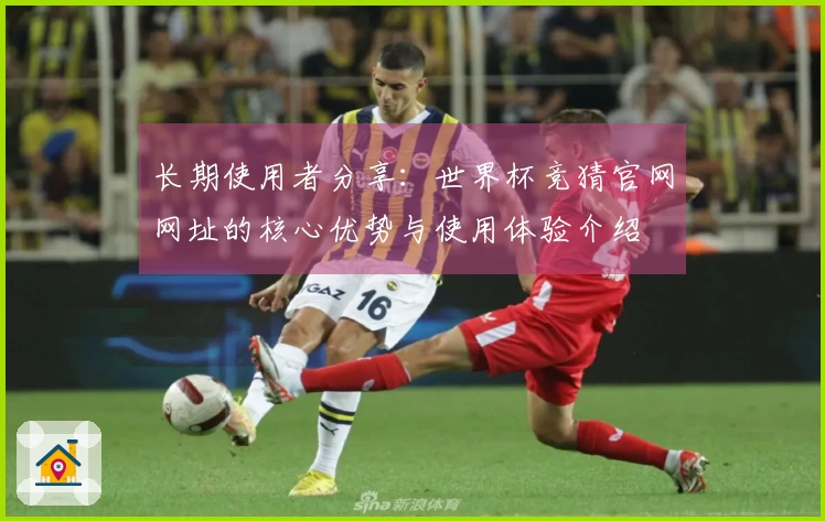 长期使用者分享：世界杯竞猜官网网址的核心优势与使用体验介绍
